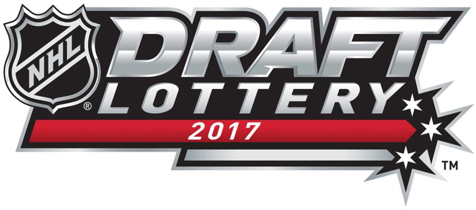 NHL Draft 2017 Misc Logo iron on heat transfer